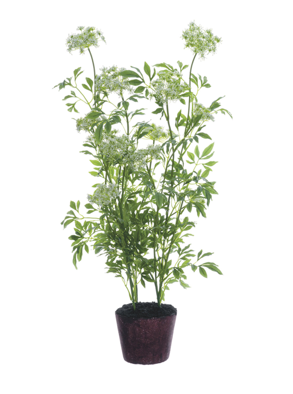 Faux Queen Anne's Lace Stems Trio White Houseplants in Green/White - The Sill