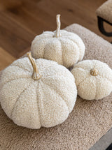 Boucle Pumpkins