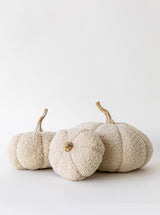 Boucle Pumpkins