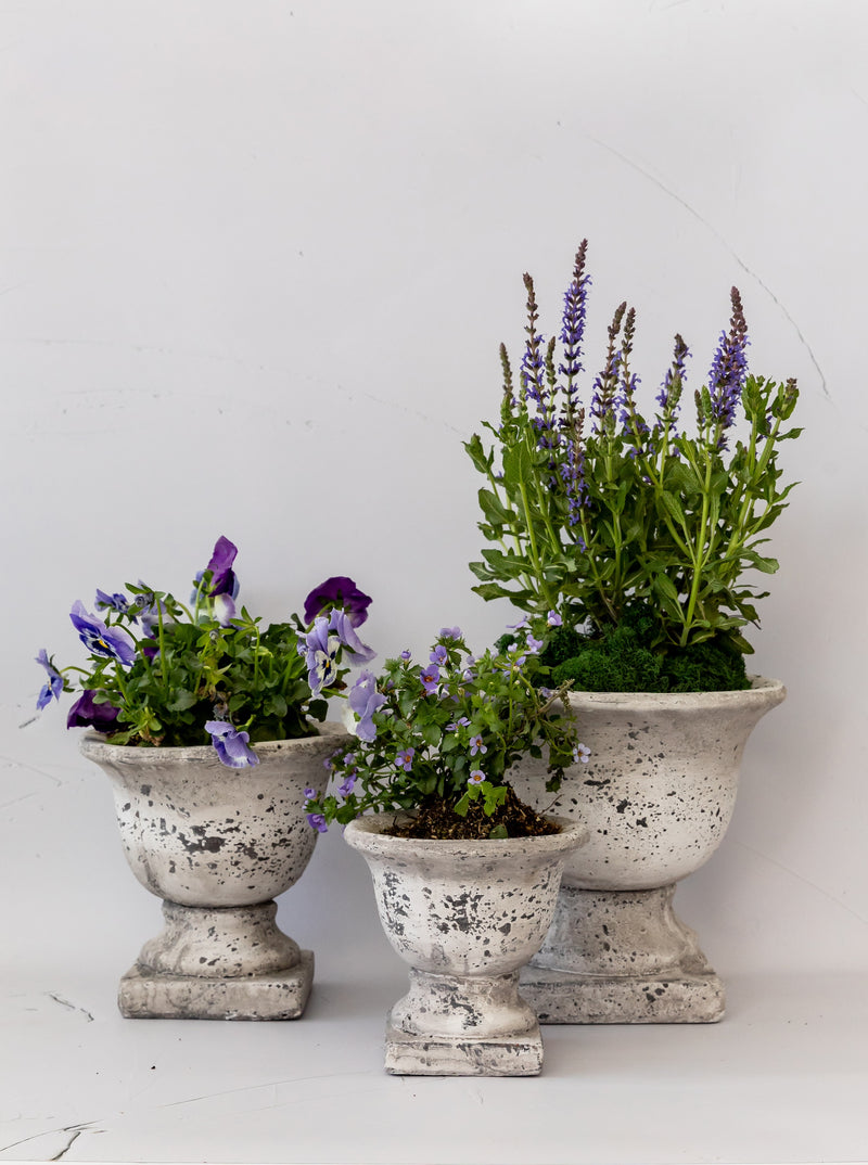 Garden Urns