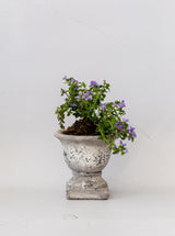 Garden Urns