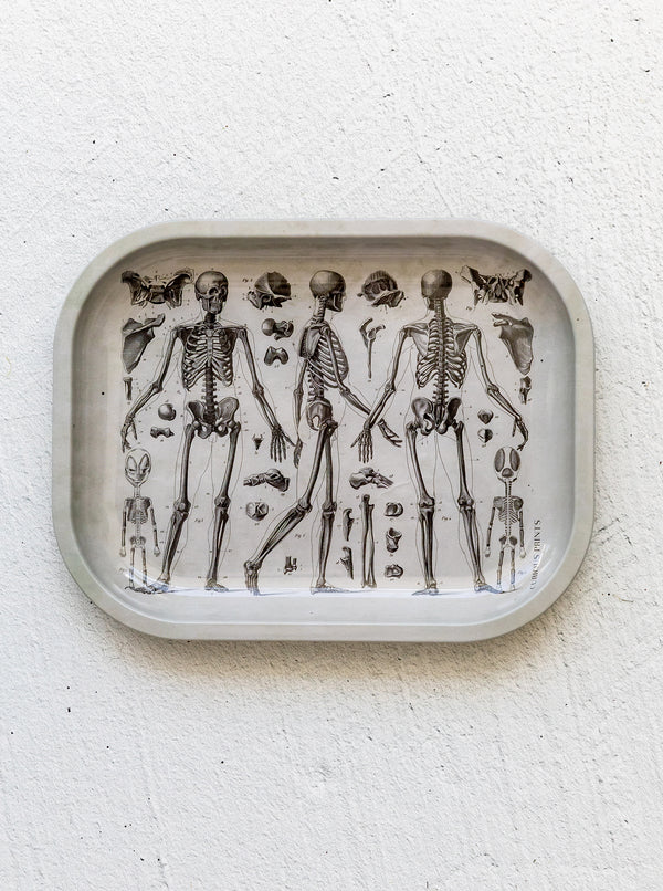 Skeleton Tray