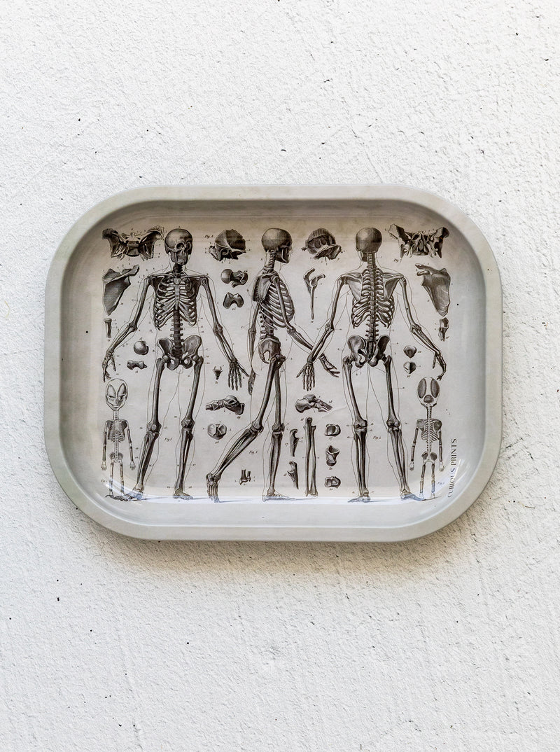 Skeleton Tray