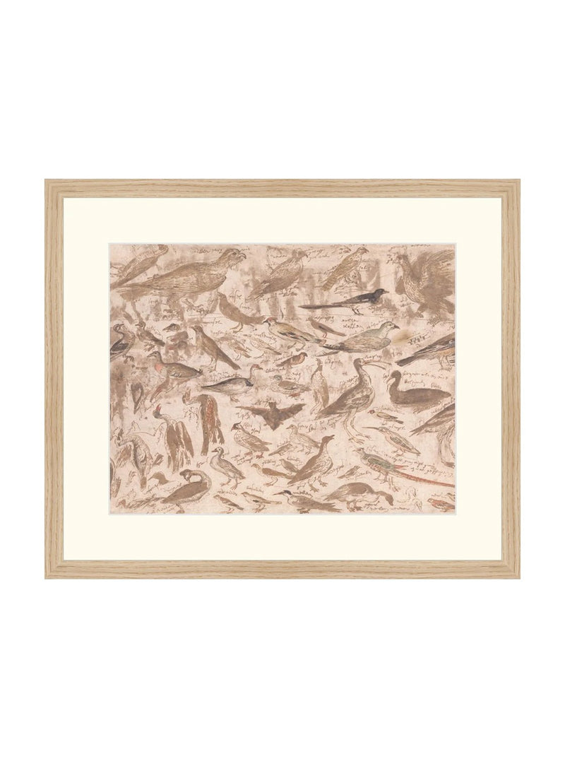 Birds - HJART0251 - OAK - 16x19