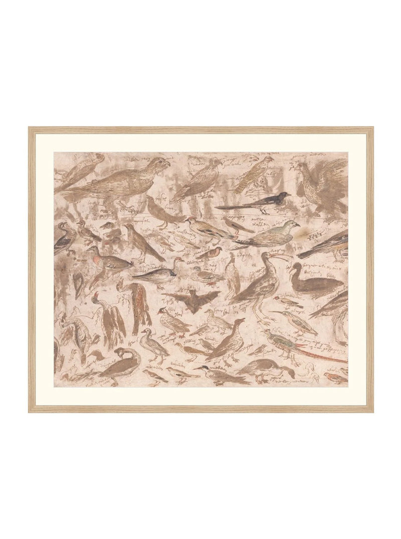 Birds - HJART0251 - OAK - 29x35