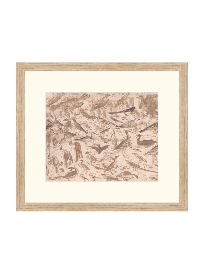 Birds - HJART0251 - OAK - 13x15