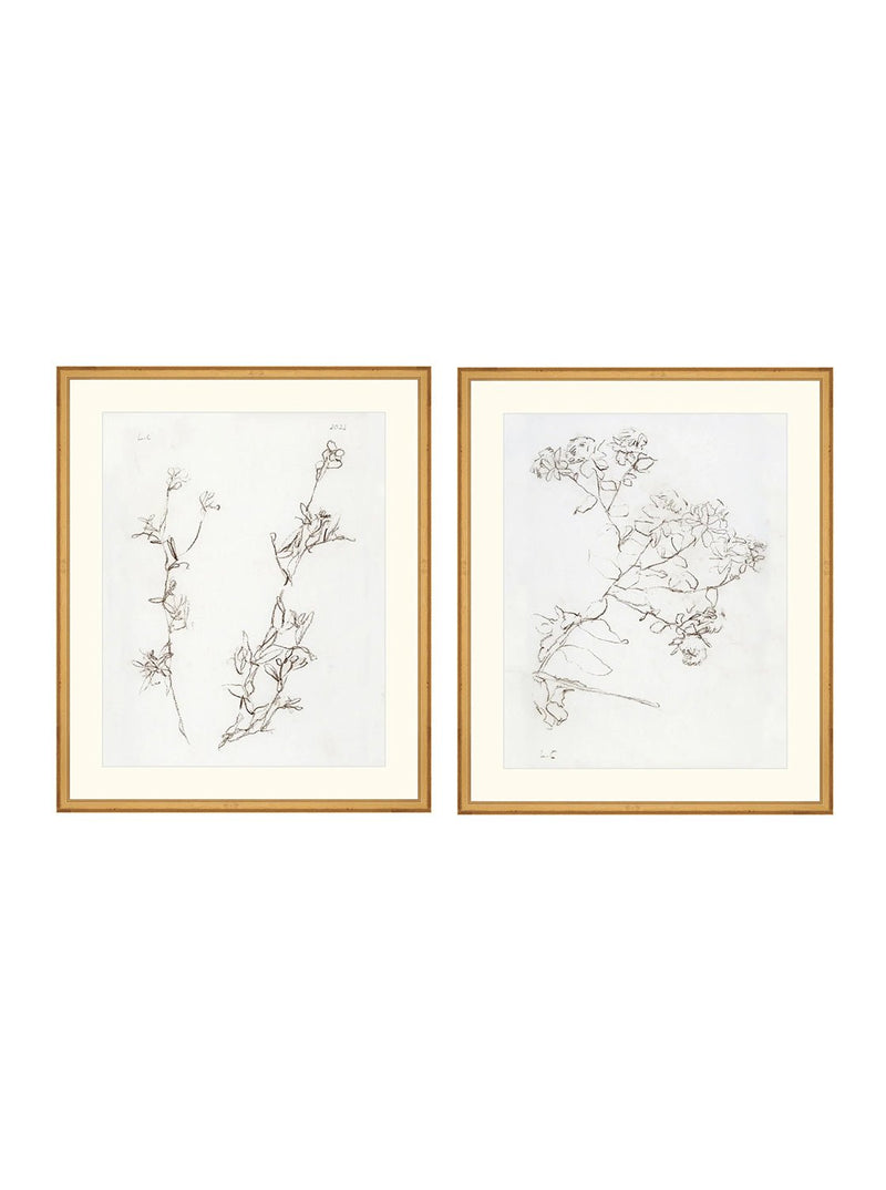 Botanical Study Duo Art Bundle - 