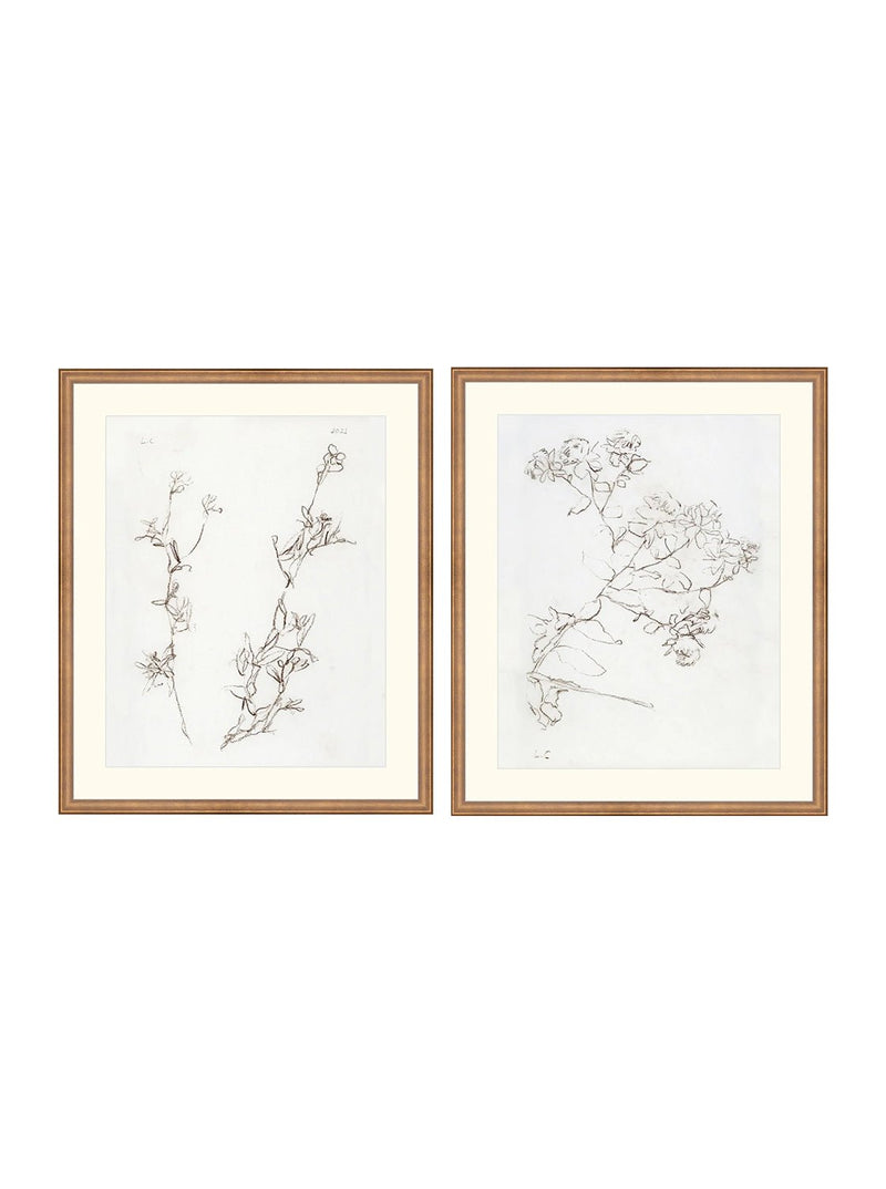 Botanical Study Duo Art Bundle - 