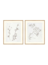 Botanical Study Duo Art Bundle - 