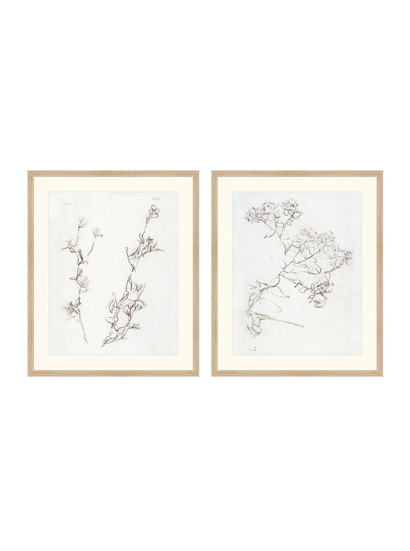 Botanical Study Duo Art Bundle - 