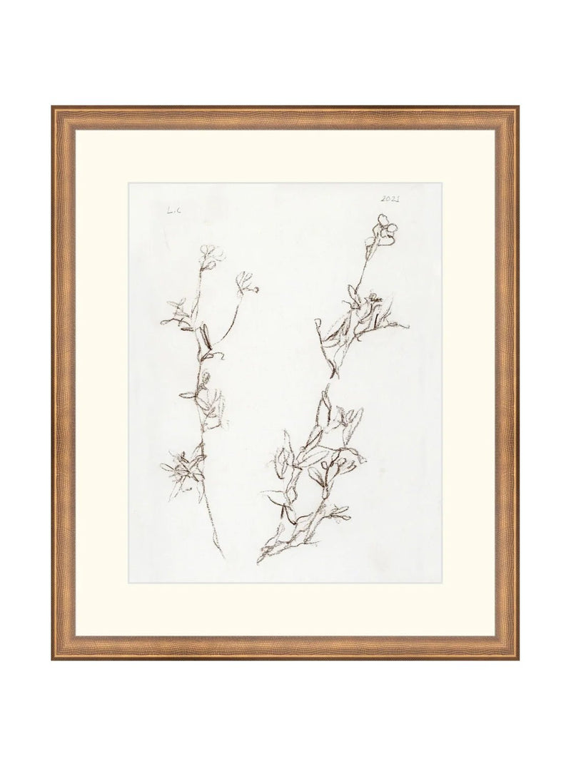 Botanical Study I - HJART0219 - BNZ - 16X19