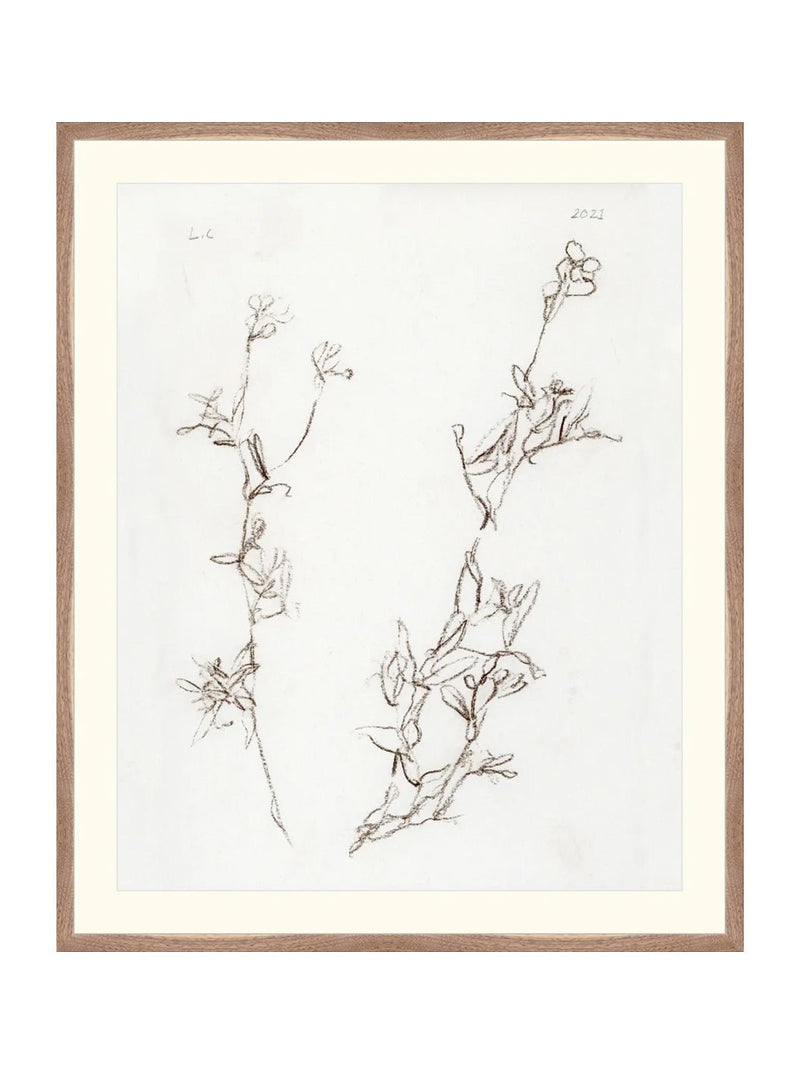 Botanical Study I - HJART0219 - WNT - 29X35