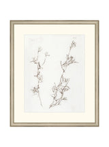 Botanical Study I - HJART0219 - SIL - 16X19