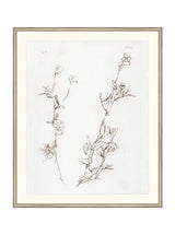 Botanical Study I - HJART0219 - SIL - 29X35