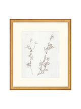 Botanical Study I - HJART0219 - GLD - 13X15