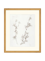 Botanical Study I - HJART0219 - GLD - 16X19