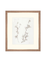 Botanical Study I - HJART0219 - WNT - 13X15