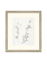 Botanical Study I - HJART0219 - SIL - 13X15