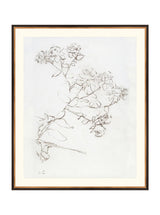 Botanical Study II - HJART0220 - BGD - 29x35