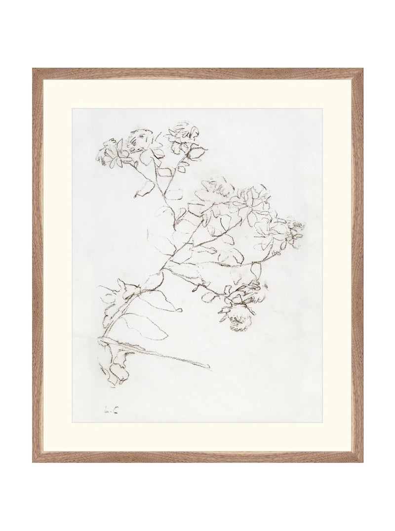 Botanical Study II - HJART0220 - WNT - 21x25