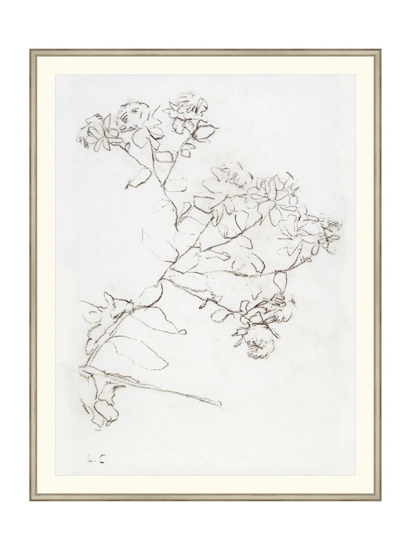 Botanical Study II - HJART0220 - SIL - 35x45