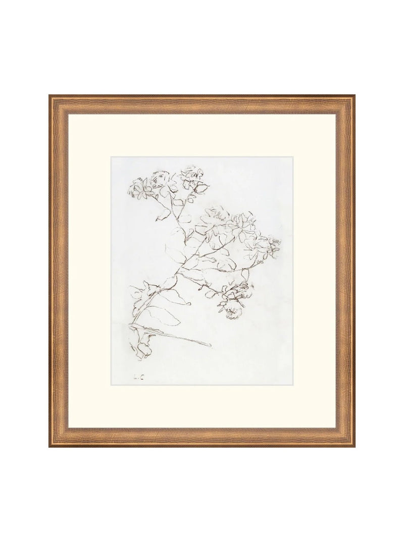 Botanical Study II - HJART0220 - BNZ - 13x15