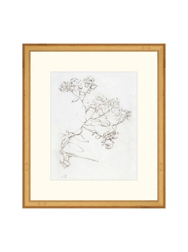 Botanical Study II - HJART0220 - GLD - 13x15