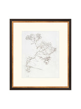 Botanical Study II - HJART0220 - BGD - 13x15