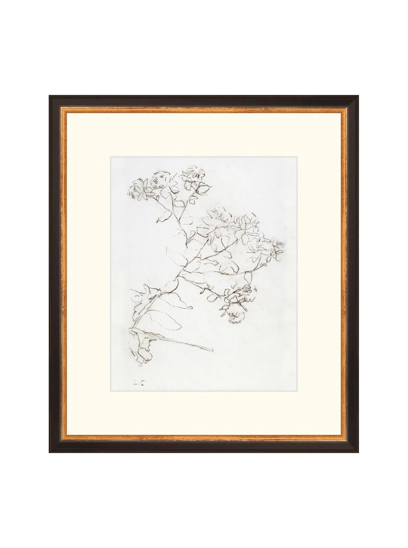 Botanical Study II - HJART0220 - BGD - 13x15