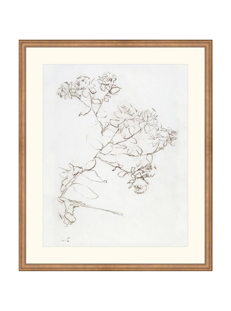 Botanical Study II - HJART0220 - BNZ - 21x25