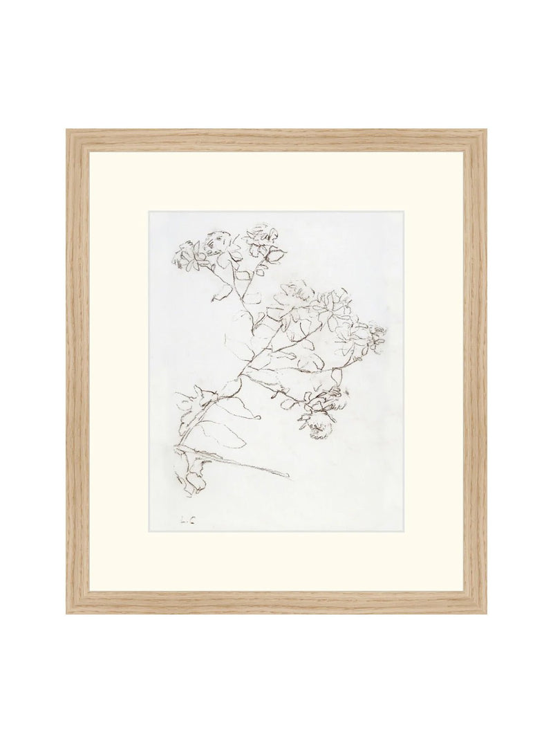 Botanical Study II - HJART0220 - OAK - 13X15