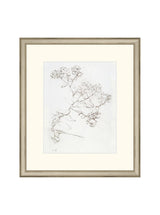 Botanical Study II - HJART0220 - SIL - 13x15