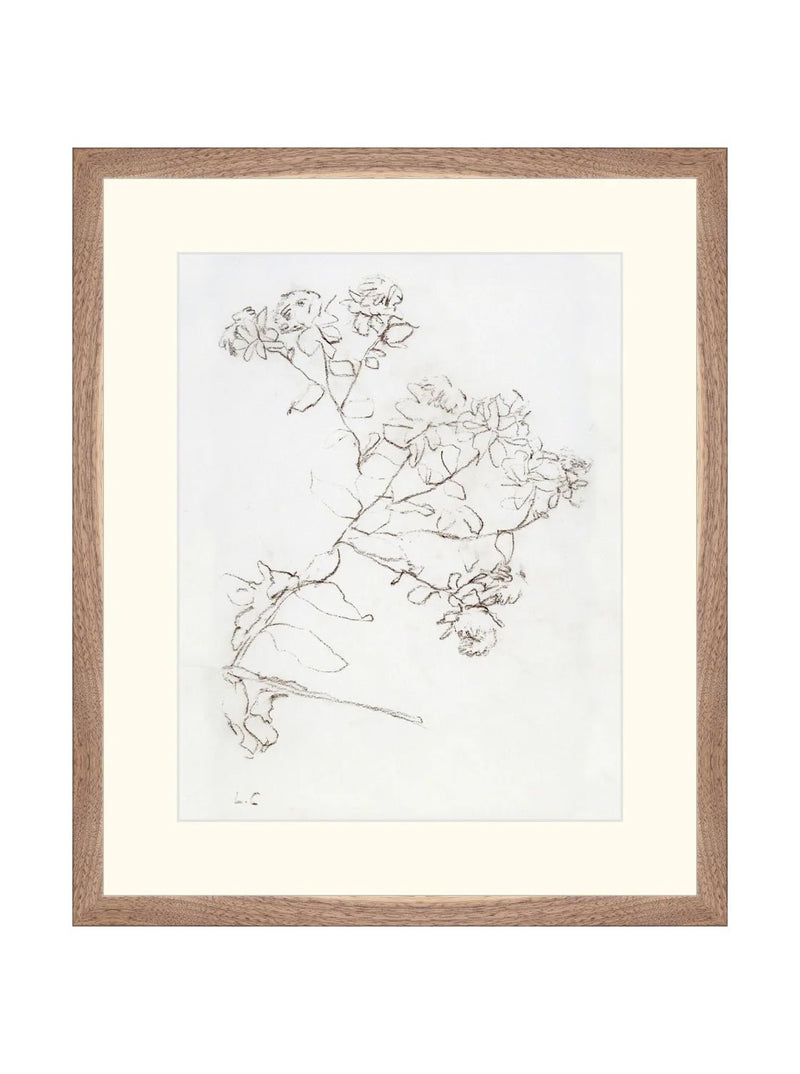 Botanical Study II - HJART0220 - WNT - 16x19