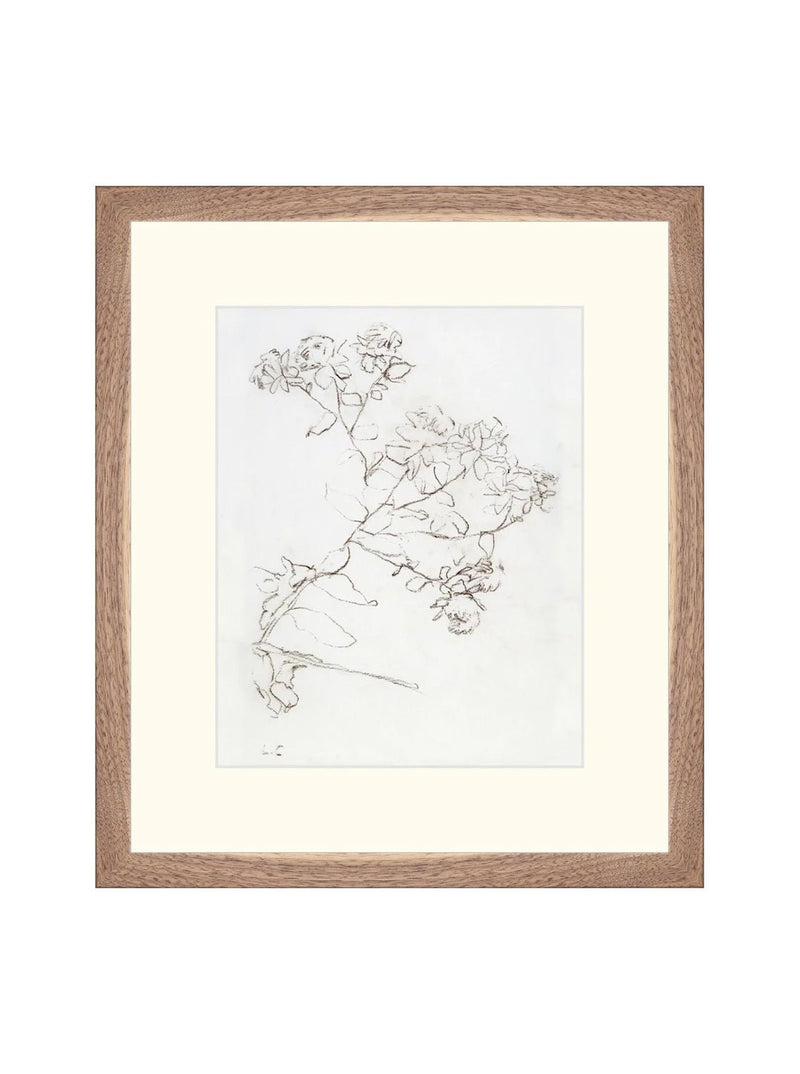 Botanical Study II - HJART0220 - WNT - 13X15