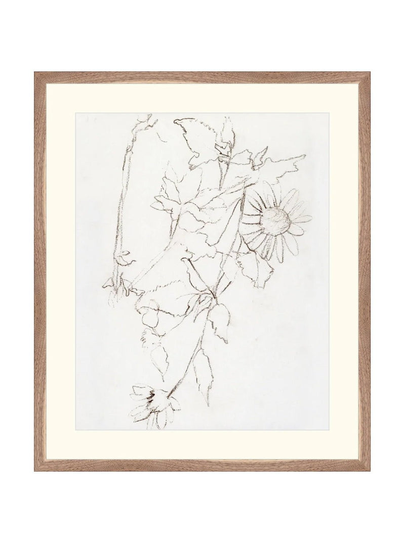 Botanical Study III - HJART0221 - WNT - 21X25