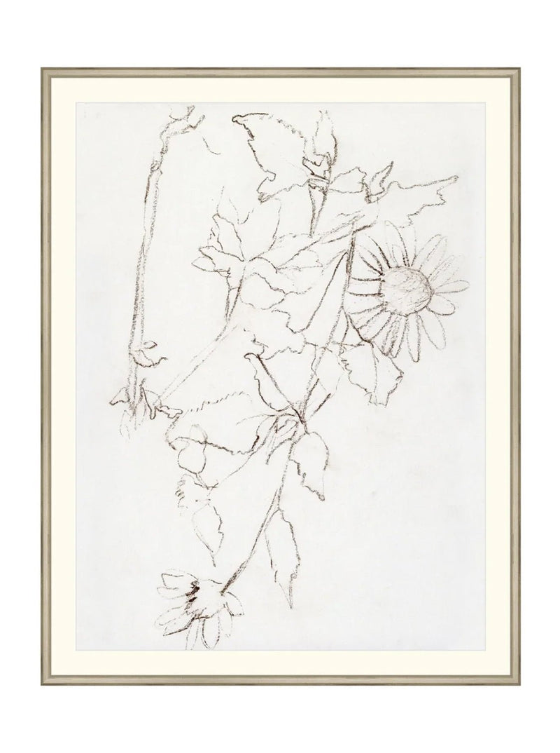 Botanical Study III - HJART0221 - SIL - 35X45