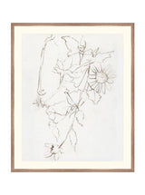 Botanical Study III - HJART0221 - WNT - 29X35