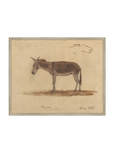 Burro Study - HJART0174 - SIL - 24x30