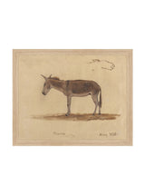 Burro Study - HJART0174 - OAK - 11x14