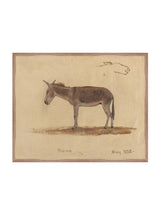 Burro Study - HJART0174 - WNT - 24x30