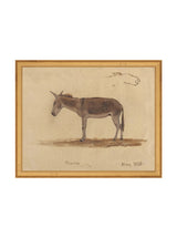 Burro Study - HJART0174 - GLD - 11x14