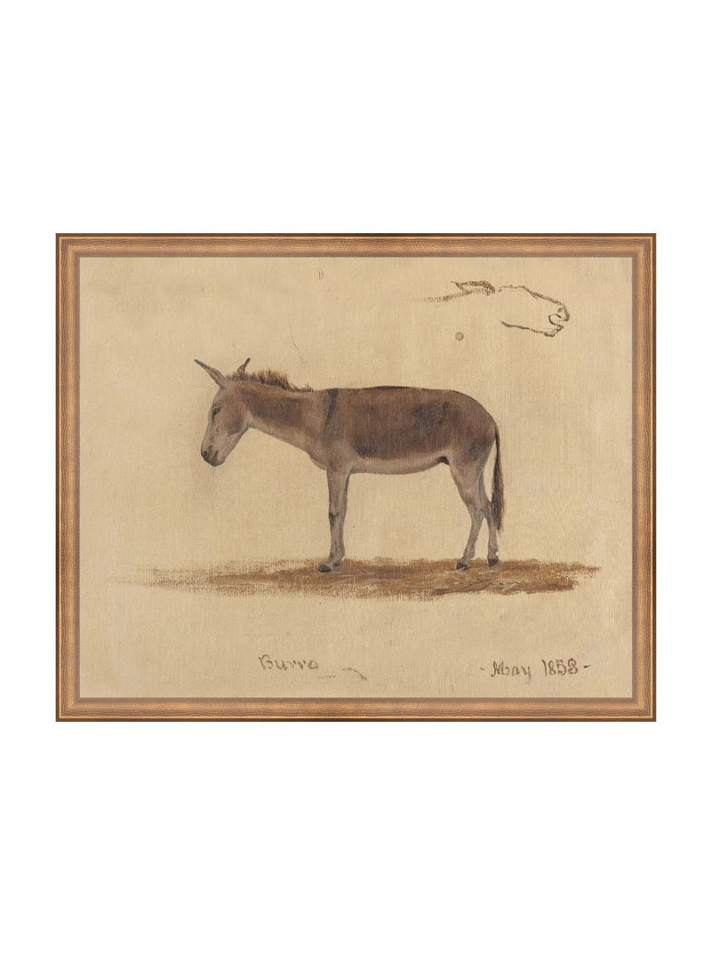 Burro Study - HJART0174 - BNZ - 16x20