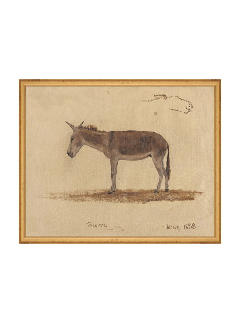 Burro Study - HJART0174 - GLD - 16x20