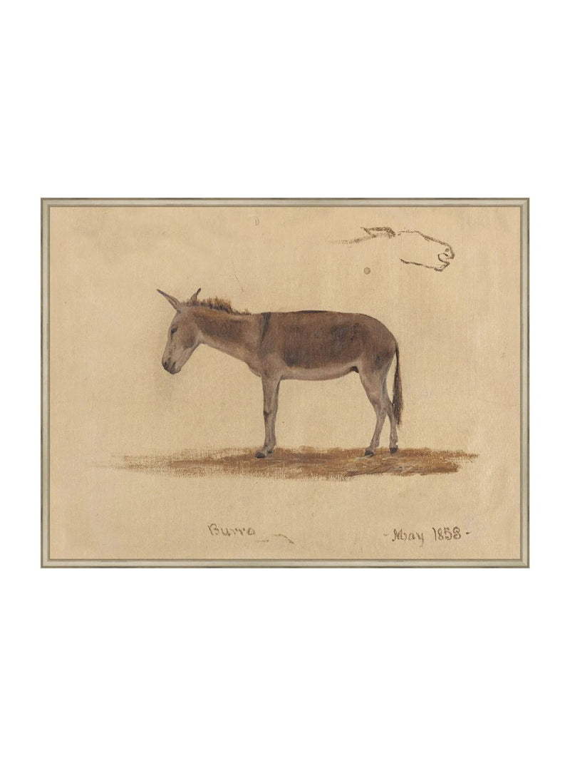 Burro Study - HJART0174 - SIL - 30x40