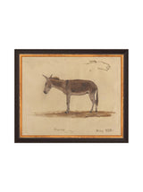 Burro Study - HJART0174 - BGD - 8x10