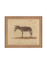 Burro Study - HJART0174 - BNZ - 8x10