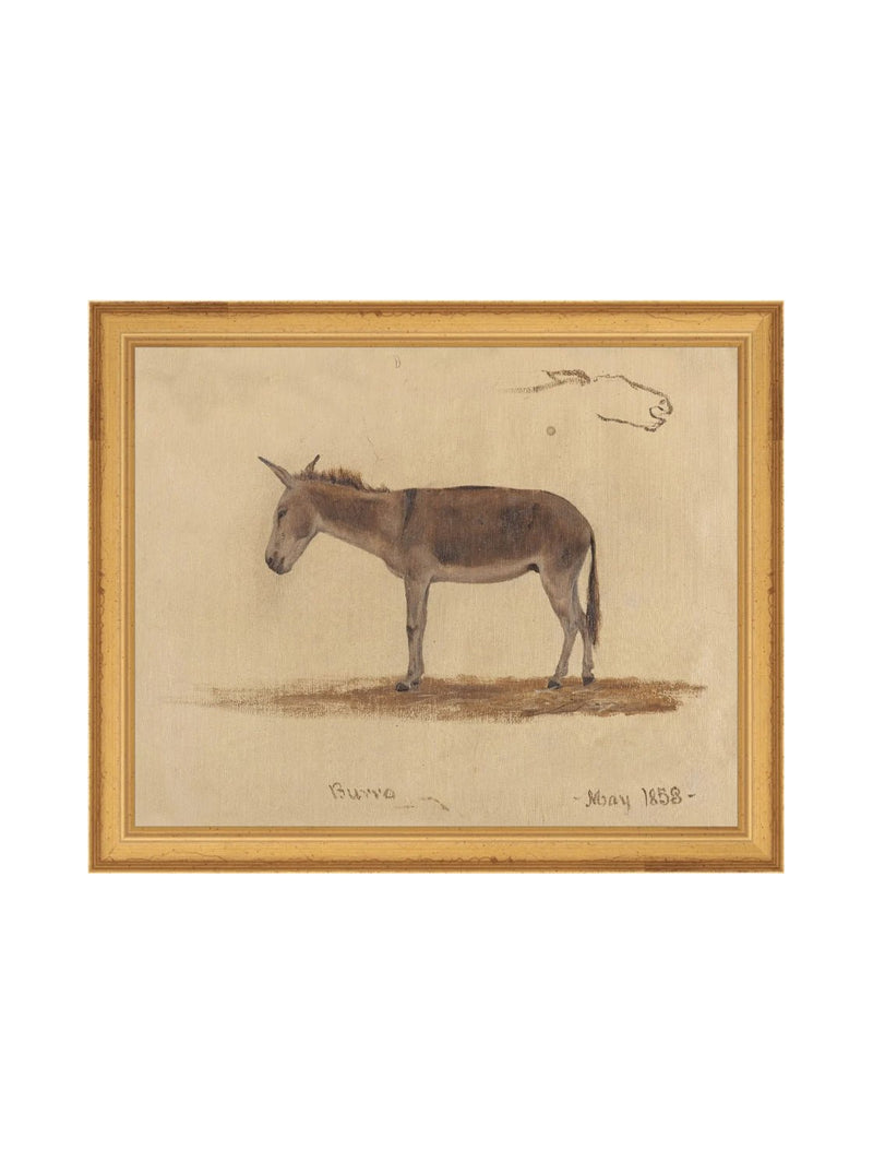 Burro Study - HJART0174 - GLD - 8x10