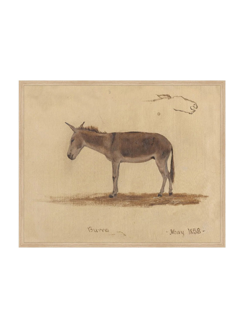 Burro Study - HJART0174 - OAK - 24x30