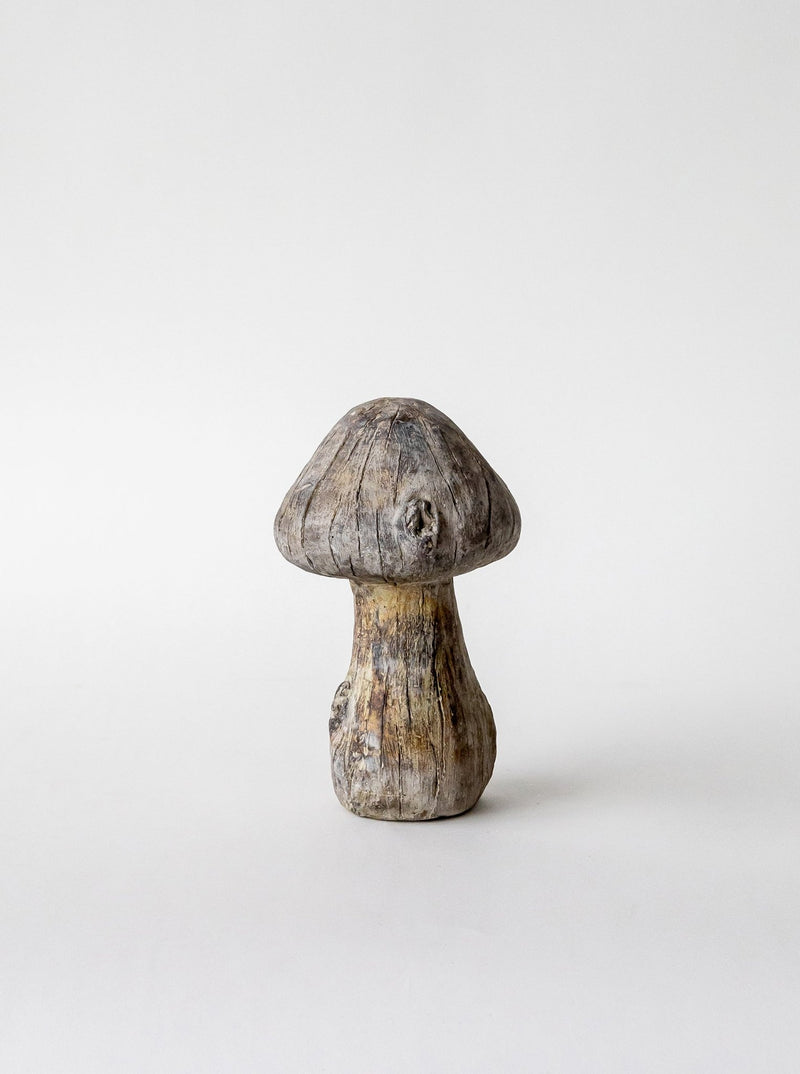 Concrete Mushrooms - HJDCR0394 - M