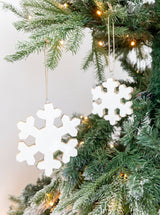 Enameled Snowflake Ornaments | Set of 2 - HJHOL0105 - OS